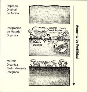 Asesoramiento agrícola en Castilla y León y Murcia