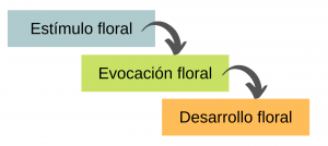 Asesoramiento agrícola