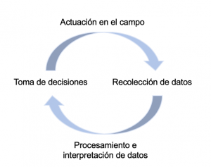 Ciclo de la agricultura de precisión