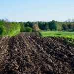 Materia orgánica e importancia en agricultura