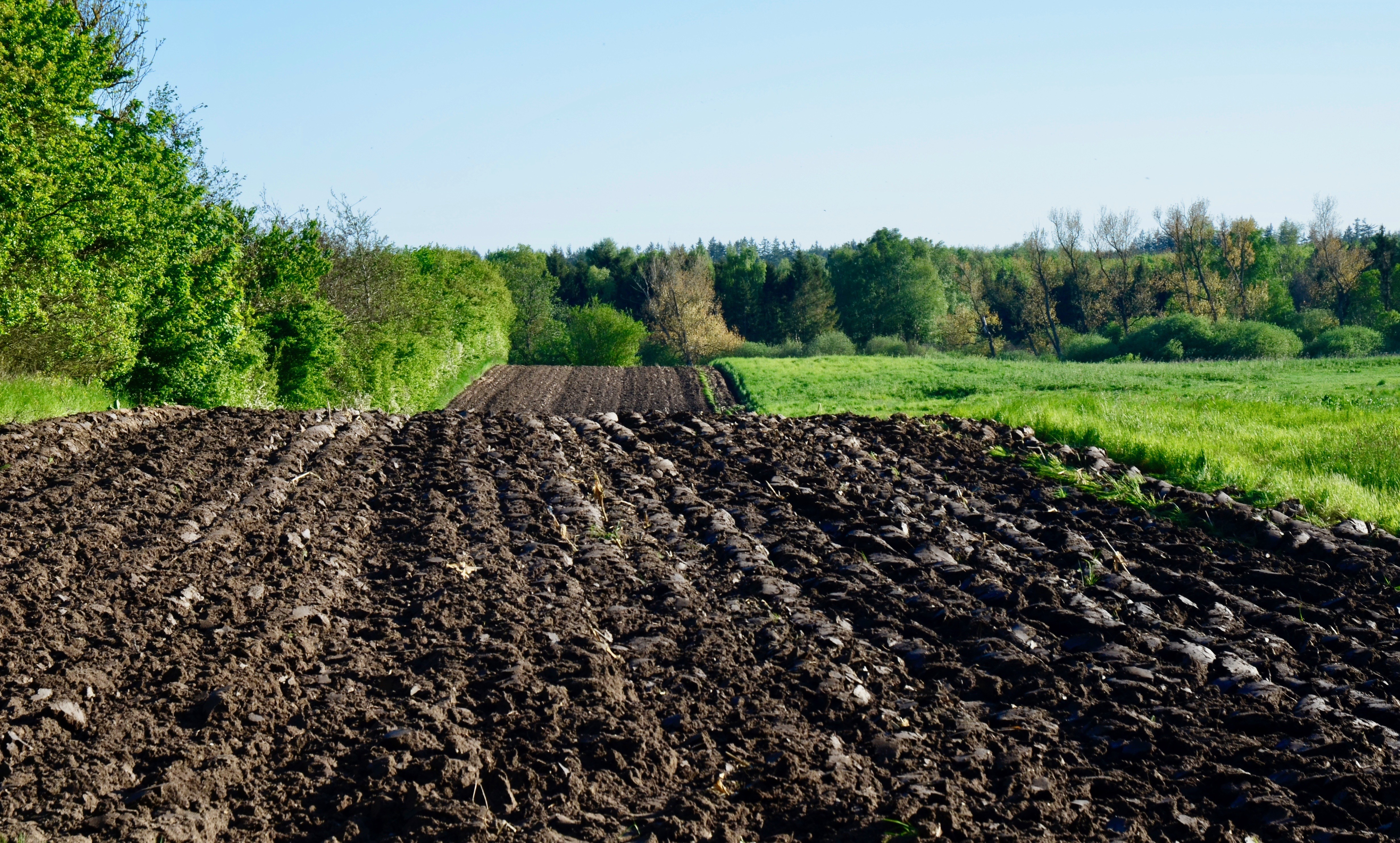 Materia orgánica e importancia en agricultura