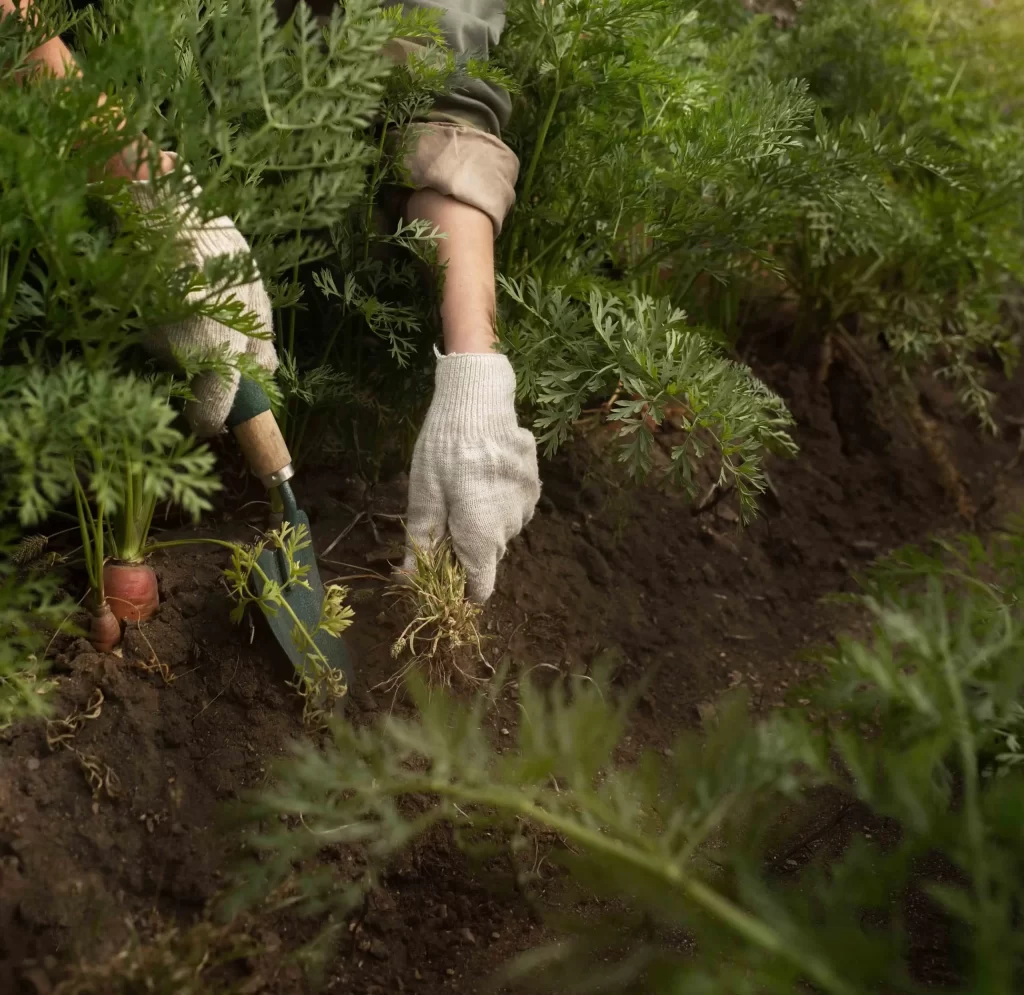 Apoyo a pequeños agricultores