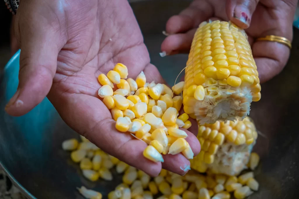 asesoramiento en cuidado del cultivo