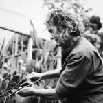 Primeros pasos hacia la agricultura