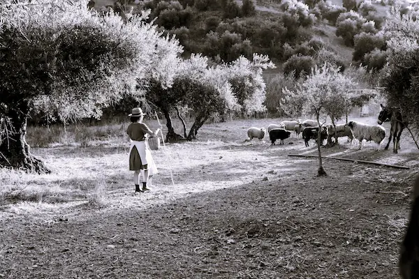 Representación de los primeros pasos hacia la agricultura en el Paleolítico