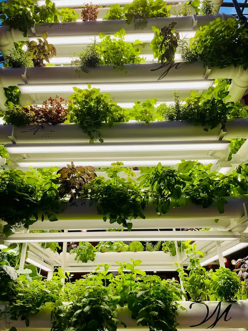 Ambiente controlado por agricultura vertical